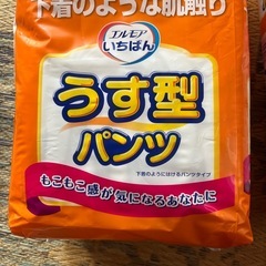 大人用紙パンツ　　2パックの画像