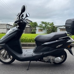 ☆即ノリ☆HONDA Dio SDH125T-27 愛知県一宮市の画像