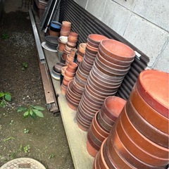 植木鉢　各種の画像