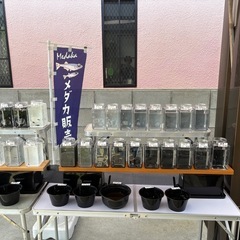 9月20日(土）10:00〜12:30 羽曳野市古市でメダカ販売