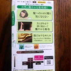 白髪染め　ブローネ　ライトブラウン　未開封の画像
