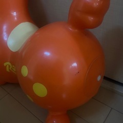 【差し上げます】ロディの画像