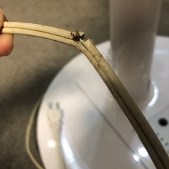 【ジャンク】扇風機0円の画像