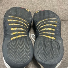 観賞用NIKE AIRJORDAN12 1996US10.5 28.5オリジナルの画像