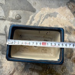 盆栽植木鉢　長方形　の画像