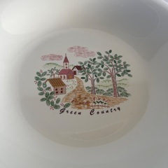 （新品）レトロなカレー皿　2枚セットの画像