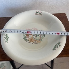 （新品）レトロなカレー皿　2枚セットの画像