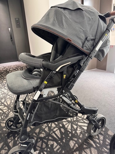 ピジョン　ランフィ2022年モデルAB型