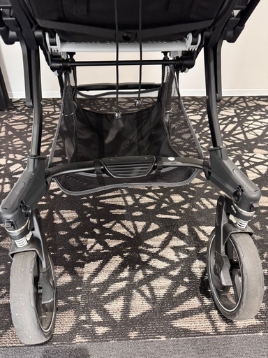 ピジョン　ランフィ2022年モデルAB型