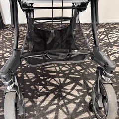 ピジョン　ランフィ2022年モデルAB型の画像