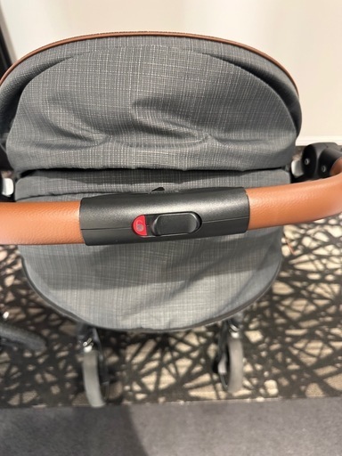 ピジョン　ランフィ2022年モデルAB型