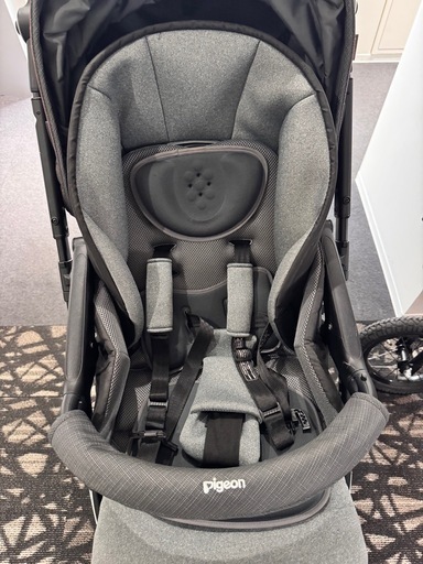 ピジョン　ランフィ2022年モデルAB型