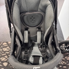 ピジョン　ランフィ2022年モデルAB型の画像