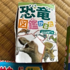 パズル　カルタ　絵合わせカードセットの画像