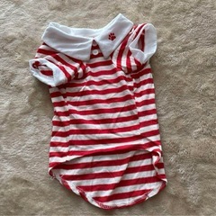 犬服赤と青のストライプポロシャツサイズL新品未使用の画像
