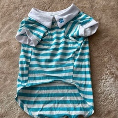 犬服赤と青のストライプポロシャツサイズL新品未使用の画像