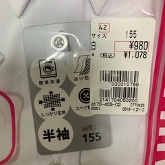 スクール半袖シャツレディースの画像