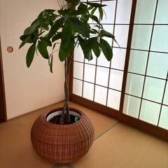 籐籠鉢カバー　丸型の画像