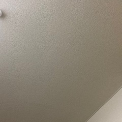 パーテーション
の画像