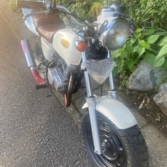 エイプ50の画像