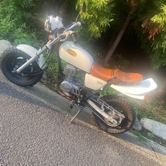エイプ50の画像