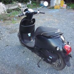 HONDA Giorno ジョルノ (AF70) モスグリーン(ペイント)・インジェクションの画像
