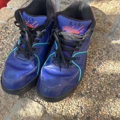 ほぼ新品 スニーカーNike Dunk Low "Reverse Brazil"ナイキ ダンク ロー "リバース ブラジルとオマケNIKE エアフライト89 " の画像