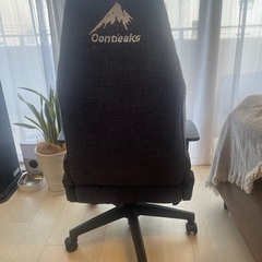 Coantieaks Titlis チェア（使用感あり）の画像