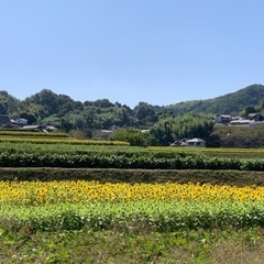 【日払い】明日１８日（木）4時間作業で¥6,500