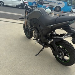 z125proの画像