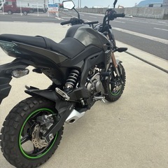 z125proの画像
