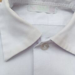 幼稚園⭐白ブラウス110の画像