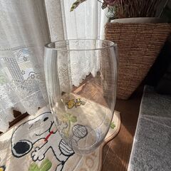 観葉植物用　厚いアクリル製の大きな花瓶　軽量の画像