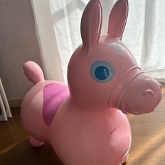 ロディの画像