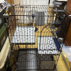 キャットケージの画像