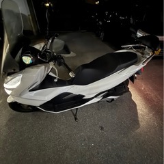 pcx jf81の画像