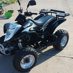 公道走行ナンバー付きATVの画像