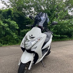 マジェスティ155の画像