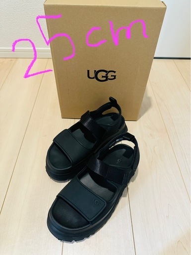 2回使用UGG ゴールデングロウ