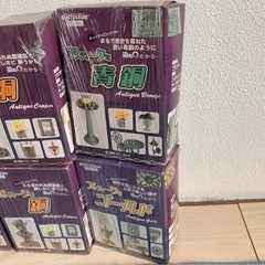新品未開封！8箱まとめて/染めQシリーズの画像