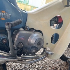カブの画像