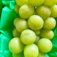 カップ入りぶどう🍇数量限定の画像