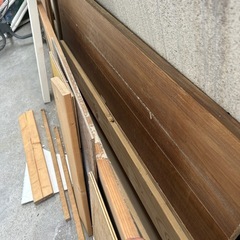 いろんなサイズの木の画像