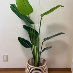 フェイク観葉植物の画像