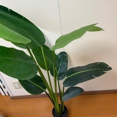 フェイク観葉植物の画像