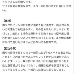 ラグ　133✖️195の画像