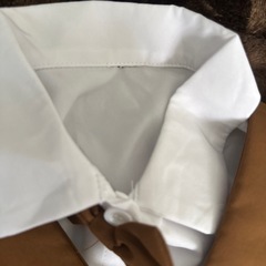 子供服の画像