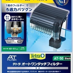 コメットの画像