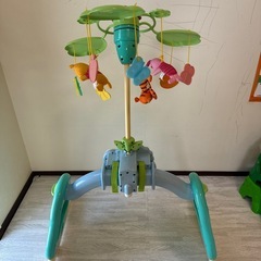 プーメリー　ベビージムの画像