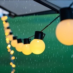 屋外灯、防水・耐寒性能！20メートル、80個の電球の画像